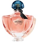 Shalimar Millésime Jasmin Guerlain 香水- 一款2024年新的女用香水