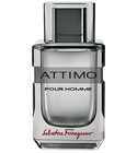 Attimo Pour Homme Salvatore Ferragamo