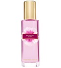 Ravishing Love Victoria's Secret