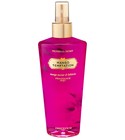 Mango Temptation Victoria's Secret