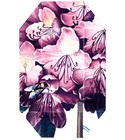Print Collection Stella 01 (2011) Stella McCartney