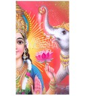 Moksha Ava Luxe