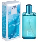 Cool Water Sea Scent and Sun Davidoff