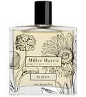 La Pluie Miller Harris