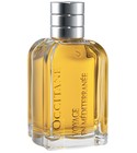 Immortelle de Corse L'Occitane en Provence