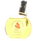 Camp Beverly Hills Camp Beverly Hills