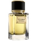 Velvet Patchouli Dolce&Gabbana