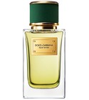 parfém Velvet Vetiver