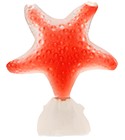 parfém Star Red Pasion