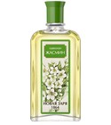 Жасмин (Jasmine) Новая Заря (The New Dawn)