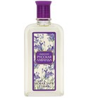 Русская Лаванда (Russian Lavender) Новая Заря (The New Dawn)