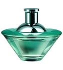 Paradox Green Jacomo