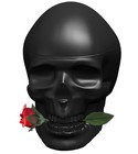 parfém Ed Hardy Skulls & Roses for Him
