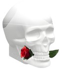 parfém Ed Hardy Skulls & Roses for Her