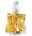 parfém Eau d’Infinitif