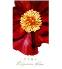 parfém Bulgarian Rose