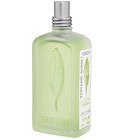 Verbena Sorbet L'Occitane en Provence