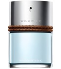 Wildblue Banana Republic