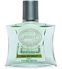 Eau de Brut Brut Parfums Prestige