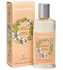 Orange Blossom Durance en Provence