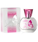 parfém Dream Collection