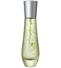parfém The Verde