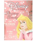 Princess Sleeping Beauty Disney