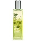 Amazonian Wild Lily The Body Shop