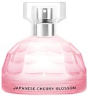 Japanese Cherry Blossom The Body Shop