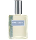 parfém Pure Frost