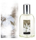 parfém Patchouli