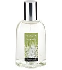 parfém Vetiver