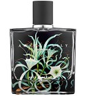parfém Amazon Lily