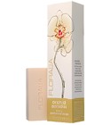 Orchid Paradisi Mayfair