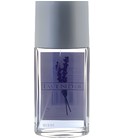 Lavender Mayfair