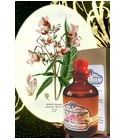 Balsemien Fragrifert Parfumeur