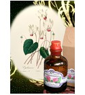 Cyclamen Fragrifert Parfumeur