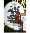 Gardenia Fragrifert Parfumeur