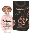 Cabotine Fleur Splendide Grès