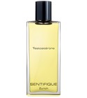 parfém Testosterone