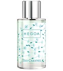 Hegoa Teo Cabanel