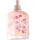 Cerisier Papillon L'Occitane en Provence