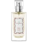 parfém Vetiver of Haiti
