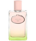 parfém Infusion d'Iris L'Eau d'Iris