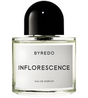 Inflorescence Byredo
