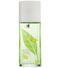 parfém Green Tea Honeysuckle