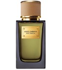 Velvet Tender Oud Dolce&Gabbana