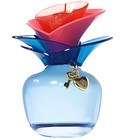 Someday Summer Edition Justin Bieber