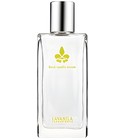 parfém Fresh Vanilla Lemon