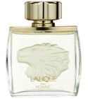 Lalique Pour Homme Lalique